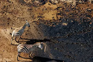 Rift: Rift valley at Lake Magadi in Kenya with plains zebra