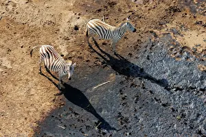 Rift: Rift valley at Lake Magadi in Kenya with plains zebra
