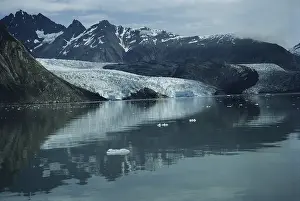 Muir: Riggs Glacier