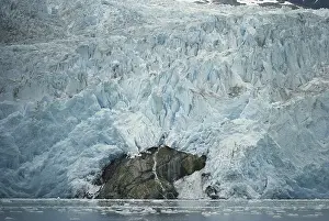 Icewall: Riggs Glacier