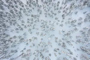 Point Of Interest: Riisitunturi aerial