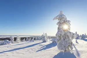 Riisitunturi: Riisitunturi Winter