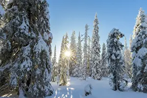 Riisitunturi: Riisitunturi Winter