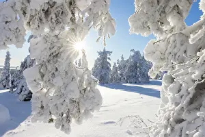Riisitunturi: Riisitunturi Winter