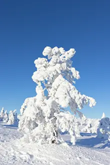 Riisitunturi: Riisitunturi Winter