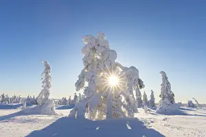 Riisitunturi: Riisitunturi Winter