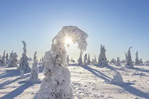 Riisitunturi: Riisitunturi Winter