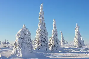 Riisitunturi: Riisitunturi Winter