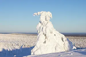 Riisitunturi: Riisitunturi Winter