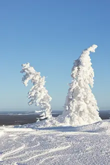 Riisitunturi: Riisitunturi Winter