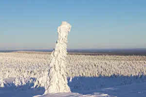 Riisitunturi: Riisitunturi Winter