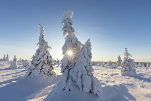 Riisitunturi: Riisitunturi Winter