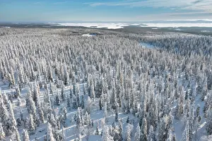 Point Of Interest: Riisitunturi Winter