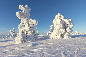 Finland: Riisitunturi Winter