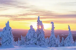 Finland: Riisitunturi Winter