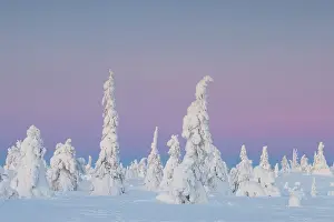 Finland: Riisitunturi Winter