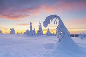 Finland: Riisitunturi Winter
