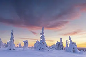 Finland: Riisitunturi Winter