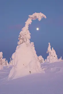 Moon: Riisitunturi Winter