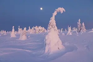 Moon: Riisitunturi Winter