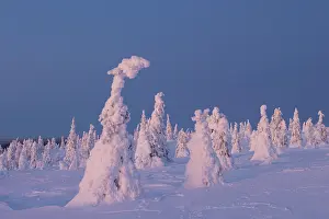 Finland: Riisitunturi Winter
