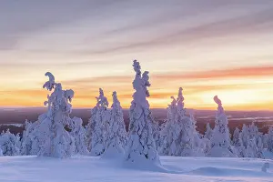 Finland: Riisitunturi Winter