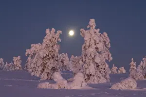 Moon: Riisitunturi Winter