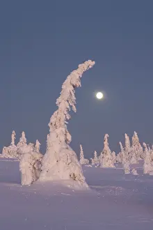 Moon: Riisitunturi Winter