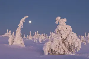 Moon: Riisitunturi Winter