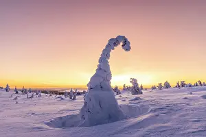 Finland: Riisitunturi Winter