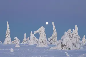 Moon: Riisitunturi Winter