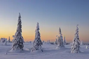 Finland: Riisitunturi Winter