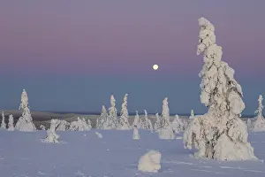 Moon: Riisitunturi Winter
