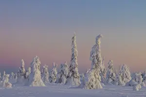 Finland: Riisitunturi Winter