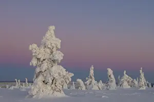 Finland: Riisitunturi Winter