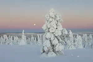 Moon: Riisitunturi Winter
