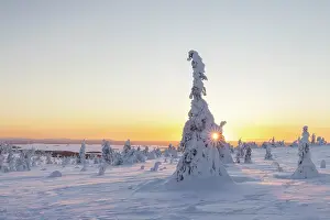 Finland: Riisitunturi Winter