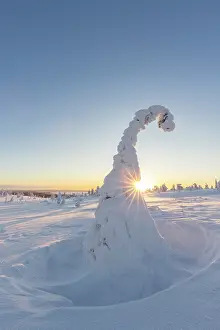 Finland: Riisitunturi Winter