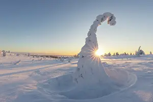 Finland: Riisitunturi Winter
