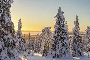 Finland: Riisitunturi Winter