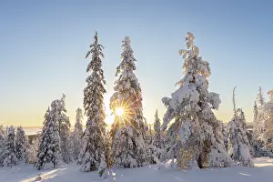 Finland: Riisitunturi Winter