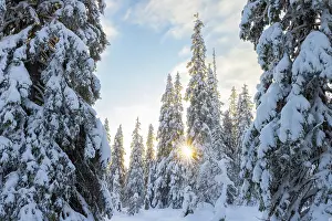Finland: Riisitunturi Winter