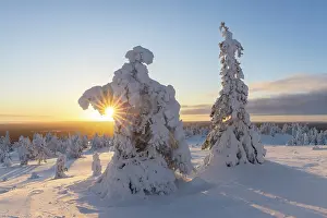 Finland: Riisitunturi Winter