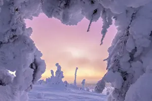 Finland: Riisitunturi Winter