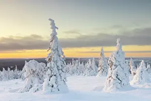 Finland: Riisitunturi Winter