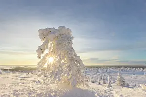 Finland: Riisitunturi Winter