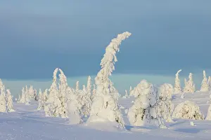 Finland: Riisitunturi Winter