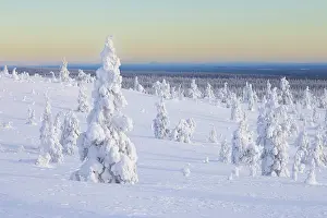 Finland: Riisitunturi Winter
