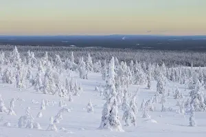 Finland: Riisitunturi Winter