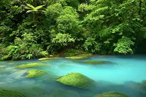 Rican: Rio Celeste river in the Tenorio Volcano National